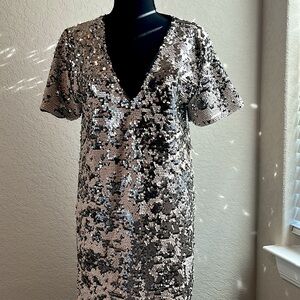 NWT Sequin V-Neck Dress